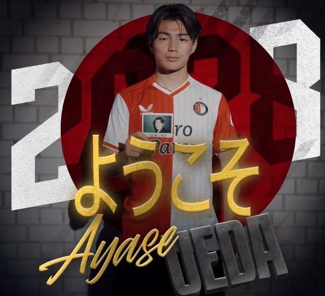 因为它不仅 因为它不仅