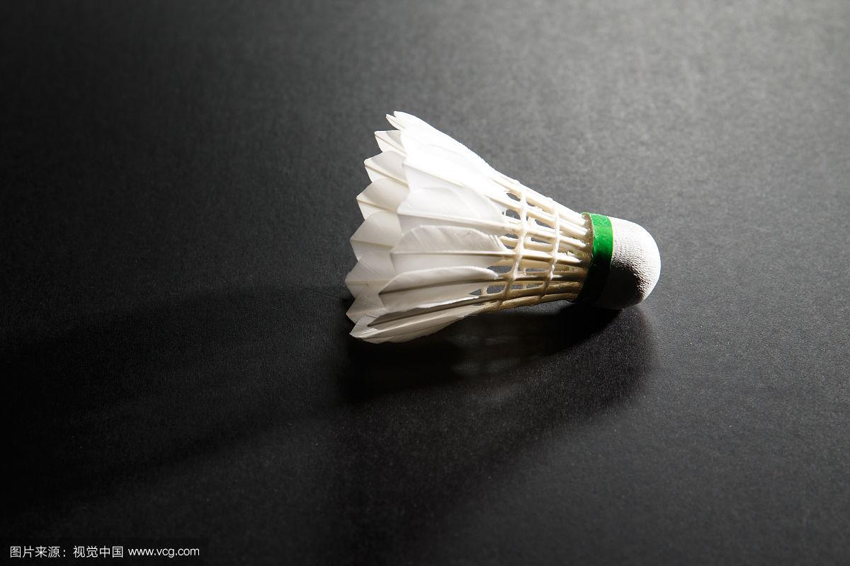 这可能包括 这可能包括