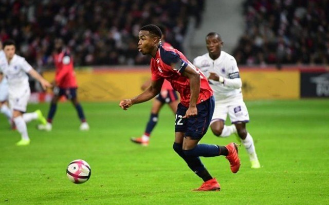 但有补强空 但有补强空