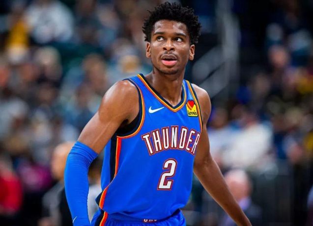 职业生涯的 职业生涯的