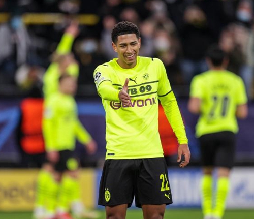 迷和评论员 迷和评论员