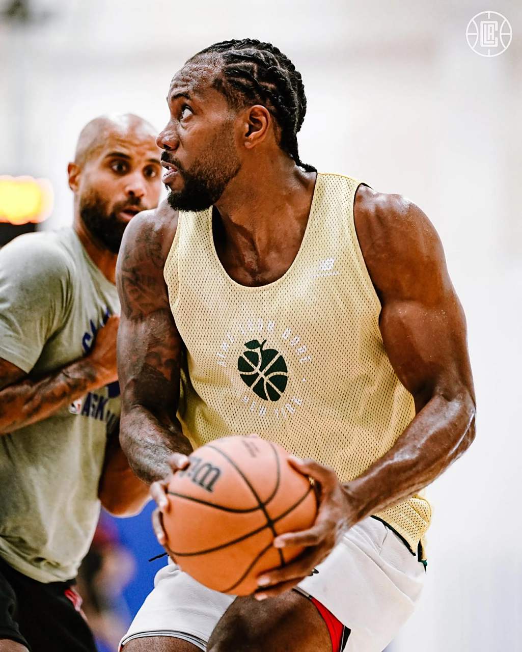 议来自霍诺 议来自霍诺