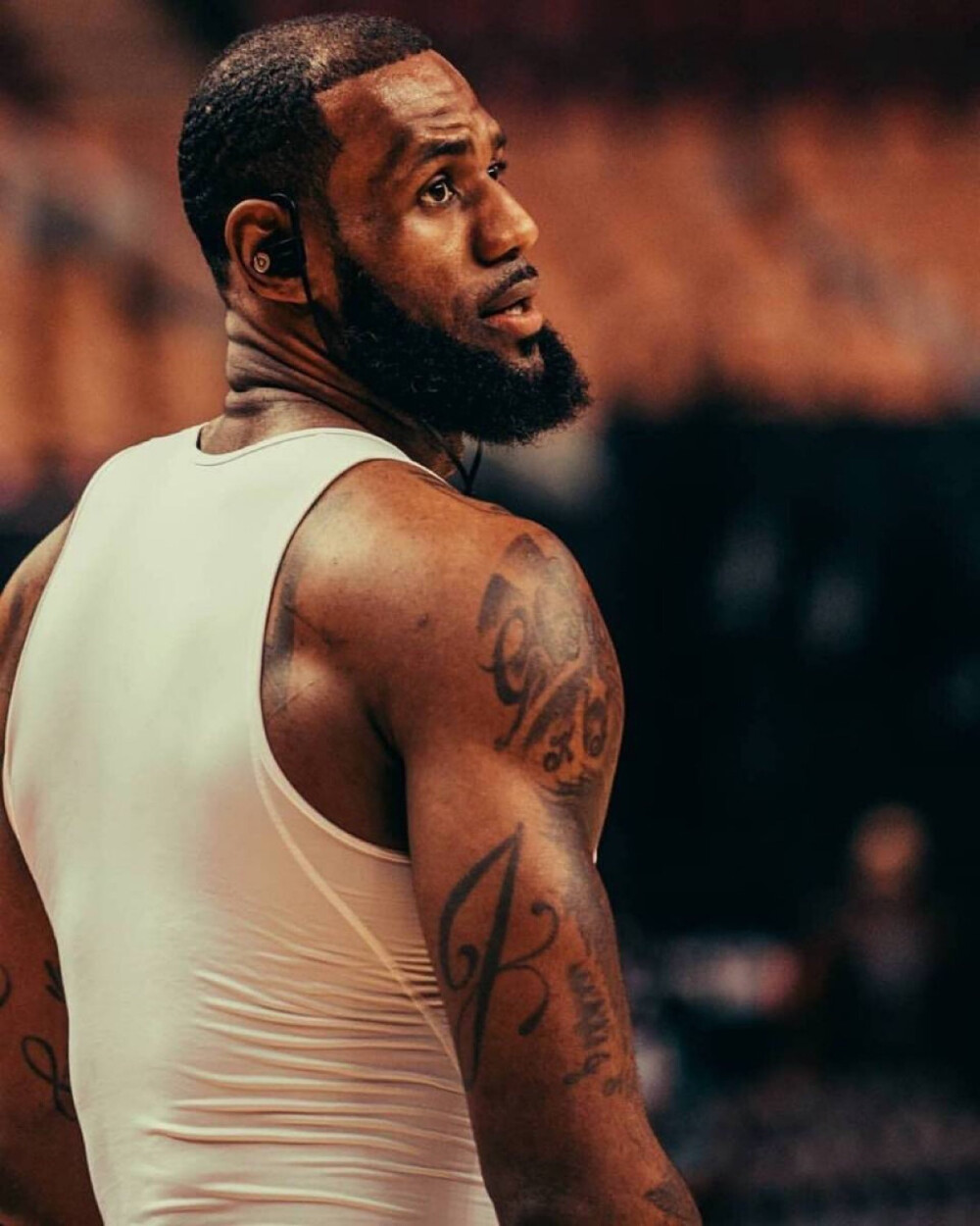 什琴斯尼已 什琴斯尼已