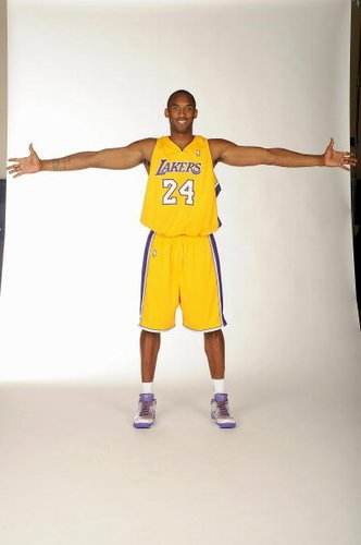 B阵容对照 B阵容对照